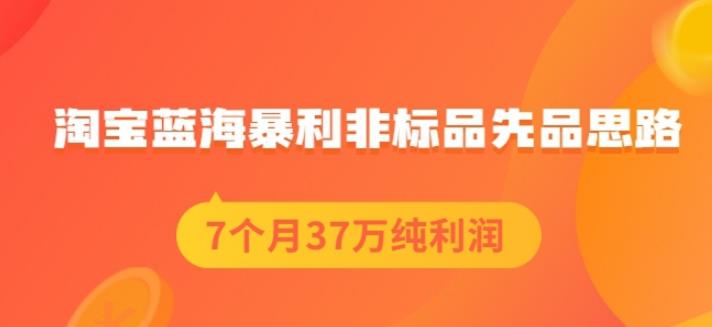 盗坤淘宝蓝海暴利非标品先品思路，7个月37万纯利润，压箱干货分享！【付费文章】-知一项目网