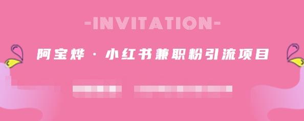 阿宝烨·小红书兼职粉引流项目，流量大，引流效果好【视频课程】-知一项目网