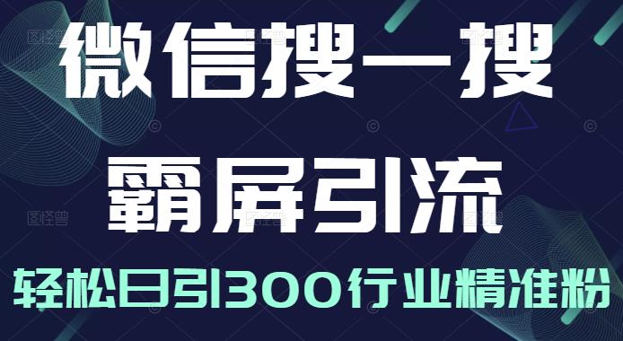 微信搜一搜霸屏引流课，打造被动精准引流系统，轻松日引300行业精准粉【无水印】-白马科技
