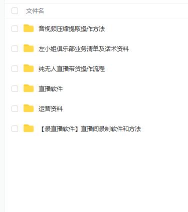 左小姐-直播带货俱乐部十三行、无人直播，全套教程附：工具、文档、话术资料-知一项目网