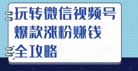 玩转微信视频号爆款涨粉赚钱全攻略，让你快速抓住流量风口，收获红利财富-知一项目网