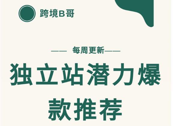 【跨境B哥】独立站潜力爆款选品推荐，测款出单率高达百分之80（每周更新）-知一项目网