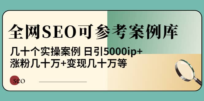 《全网SEO可参考案例库》几十个实操案例-知一项目网