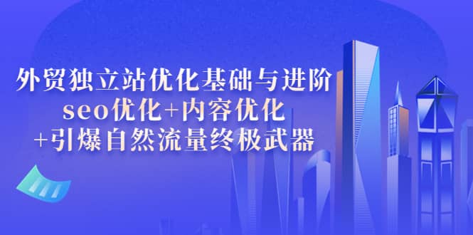 外贸独立站优化基础与进阶，seo优化 内容优化 引爆自然流量终极武器-知一项目网