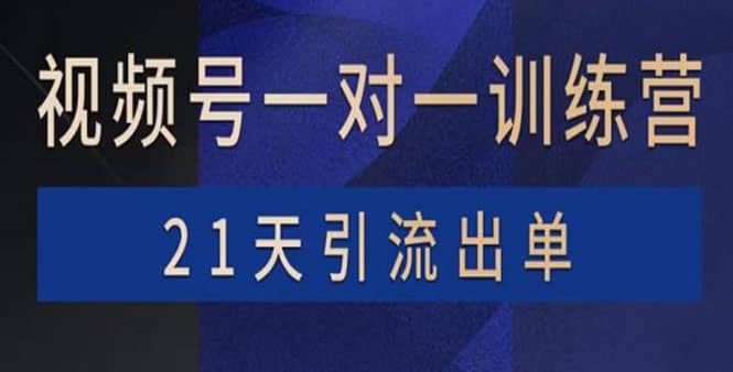 视频号训练营：带货，涨粉，直播，游戏，四大变现新方向，21天引流出单-知一项目网