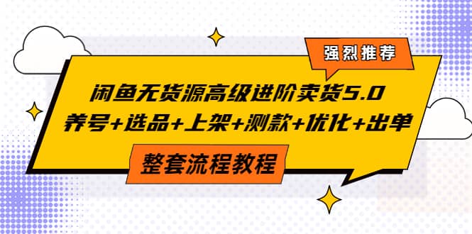 闲鱼无货源高级进阶卖货5.0，养号 选品 上架 测款 优化 出单整套流程教程-知一项目网