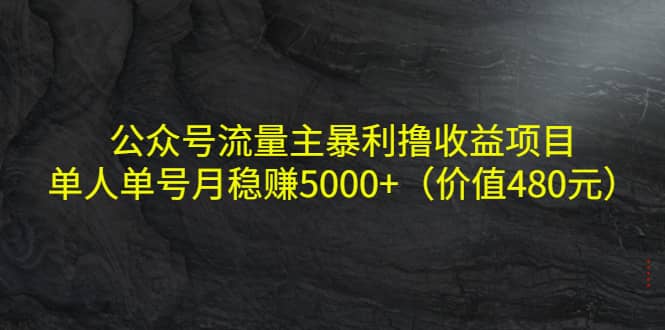 公众号流量主暴利撸收益项目，单人单号月稳赚5000 （价值480元）-知一项目网