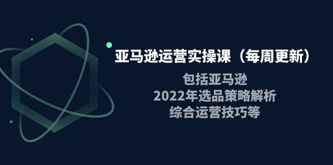 亚马逊运营实操课（每周更新）包括亚马逊2022选品策略解析，综合运营技巧等-白马科技