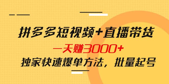 拼多多短视频 直播带货，一天赚3000 独家快速爆单方法，批量起号-知一项目网