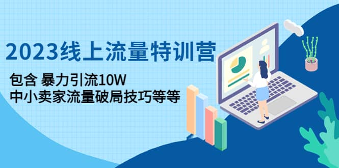 2023线上流量特训营：中小卖家流量破局技巧等等-知一项目网