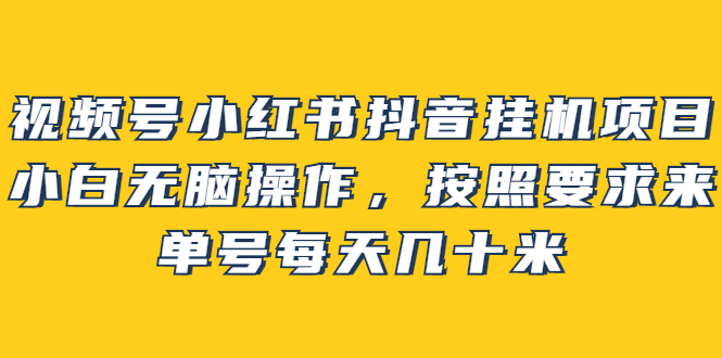 视频号小红书抖音挂机项目，小白无脑操作，按照要求来，单号每天几十米-知一项目网