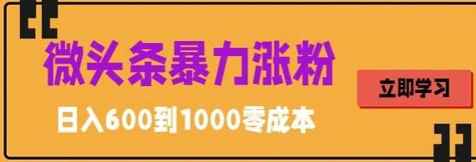 微头条暴力涨粉技巧搬运文案就能涨几万粉丝，简单0成本，日赚600-知一项目网