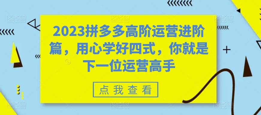 2023拼多多高阶运营进阶篇，用心学好四式，你就是下一位运营高手-白马科技