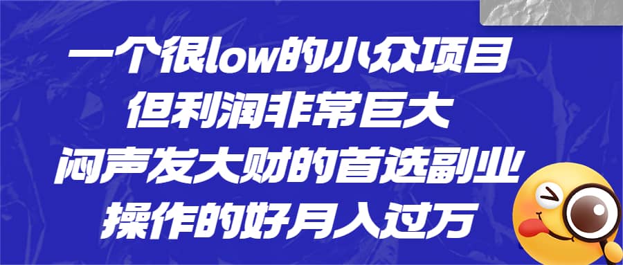 一个很low的小众项目，但利润非常巨大，闷声发大财的首选副业，月入过万-知一项目网