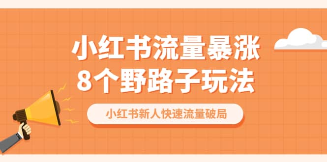 小红书流量-暴涨8个野路子玩法：小红书新人快速流量破局（8节课）-知一项目网