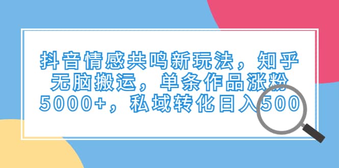 抖音情感共鸣新玩法，知乎无脑搬运，单条作品涨粉5000 ，私域转化日入500-知一项目网