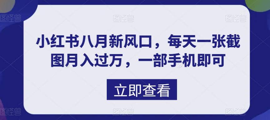 八月新风口，小红书虚拟项目一天收入1000 ，实战揭秘-知一项目网