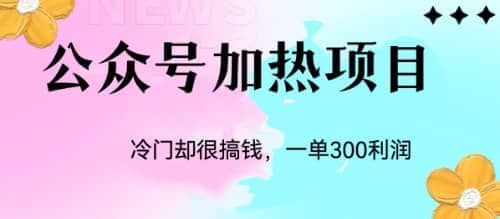冷门公众号加热项目，一单利润300-知一项目网