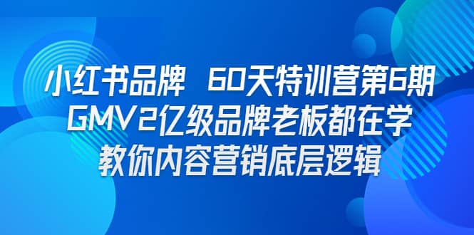 小红书品牌 60天特训营第6期 GMV2亿级品牌老板都在学 教你内容营销底层逻辑-知一项目网