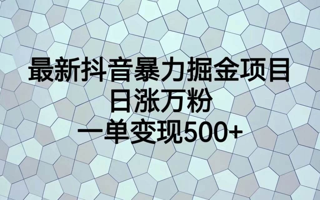 最火热的抖音暴力掘金项目，日涨万粉，多种变现方式，一单变现可达500-知一项目网