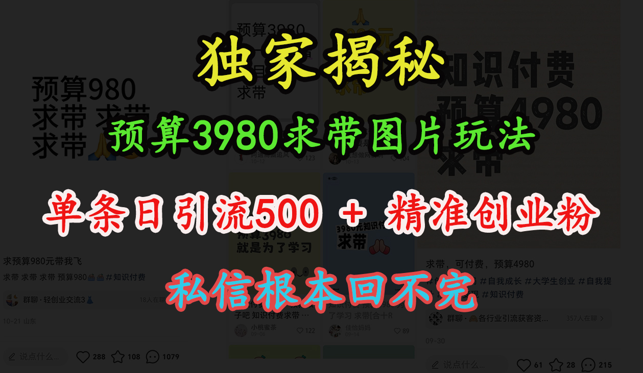 “小红书”预算3980求带 图片玩法，单条日引流500+精准创业粉，私信根本回不完-知一项目网