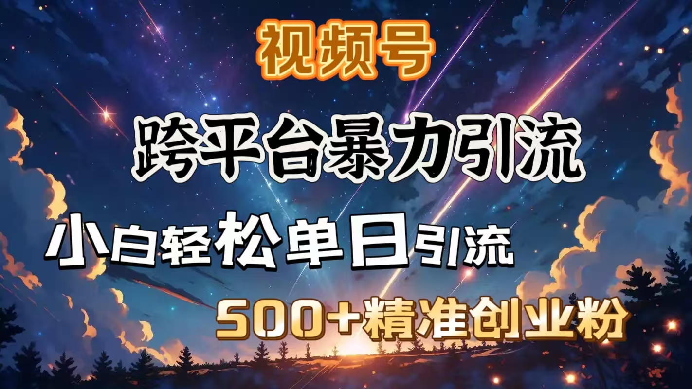 视频号跨平台暴力引流，小白轻松单日引流500＋精准创业粉-知一项目网