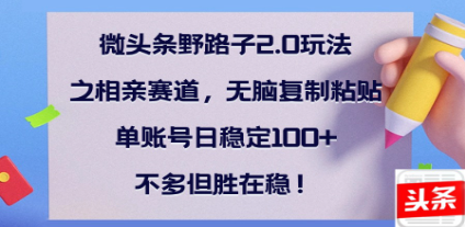 全网首发微头条野路子2.0玩法之相亲赛道，无脑搬砖复制粘贴，单账号日稳定300+保姆级教程-知一项目网