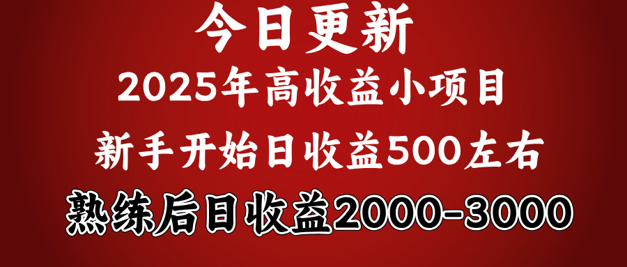 好项目一眼就能看出来，日收益1000，长久可做，2025拼的就是我比你勤奋-知一项目网