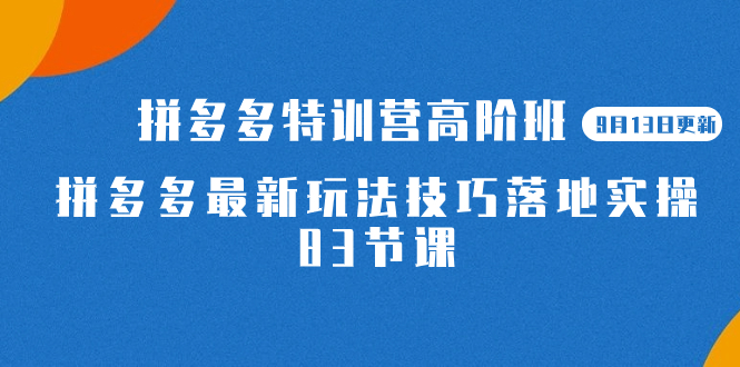 2023拼多多·特训营高阶班【9月13日更新】拼多多最新玩法技巧落地实操-83节-白马科技