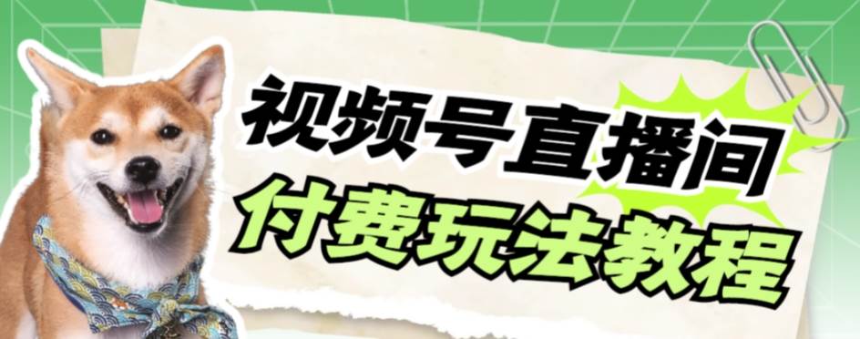 视频号美女付费无人直播，轻松日入500 【详细玩-知一项目网
