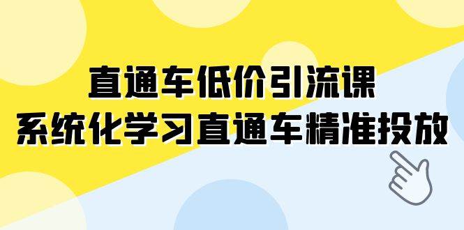直通车-低价引流课，系统化学习直通车精准投放（14节课）-白马科技