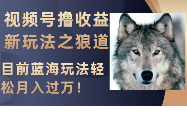 视频号撸收益新玩法之狼道，目前蓝海玩法轻松月入过万！-白马科技