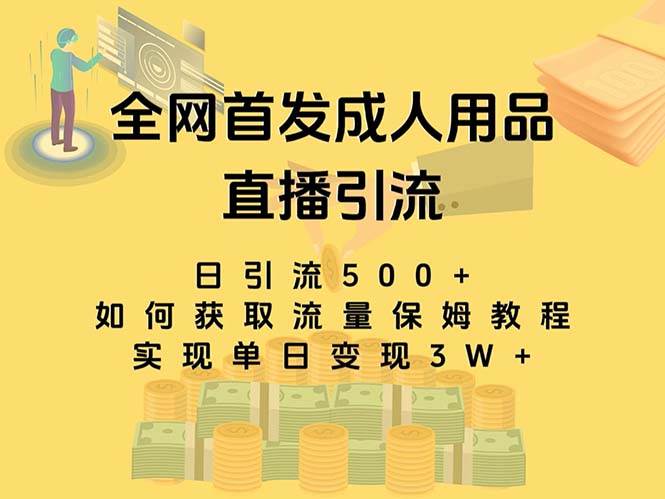 最新全网独创首发，成人用品直播引流获客暴力玩法，单日变现3w保姆级教程-知一项目网