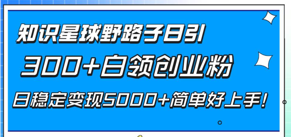 知识星球野路子日引300 白领创业粉，日稳定变现5000 简单好上手！-白马科技
